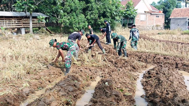 Satgas TMMD saat mencangkul lahan sawah petani di Kabupaten Cirebon. Foto: