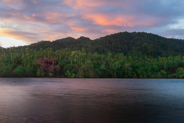 Nama-Nama Dataran Rendah Pulau Papua dan Maluku, Sumber Unsplash Kaja Sariwating