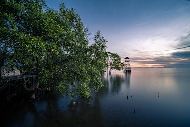 Wisata bahari di Kalimantan Timur. Foto hanyalah ilustrasi. Sumber: Unsplash/Eko Purwanto