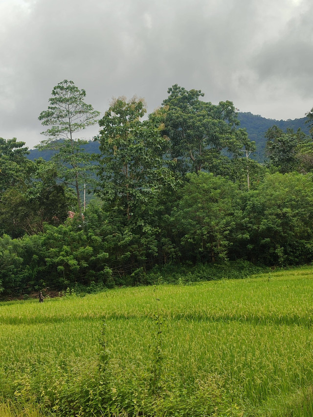 sumber: hasil dokumentasi