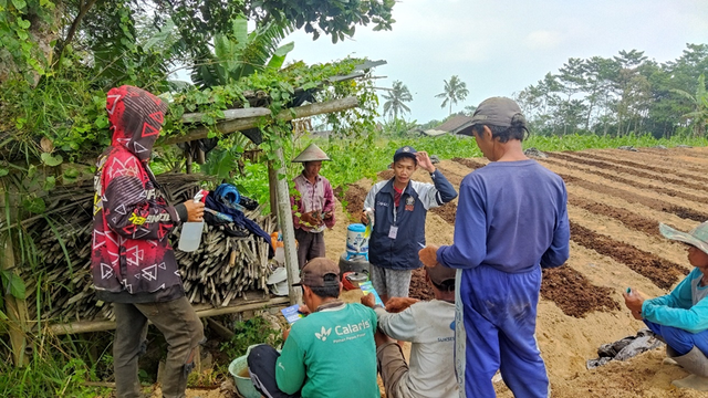 Pelatihan Pembuatan Pestisida Nabati dari Air Cucian Beras dan Bawang Putih Desa Daleman Kidul (7/8/2024). Sumber: Dokumentasi HP Pribadi