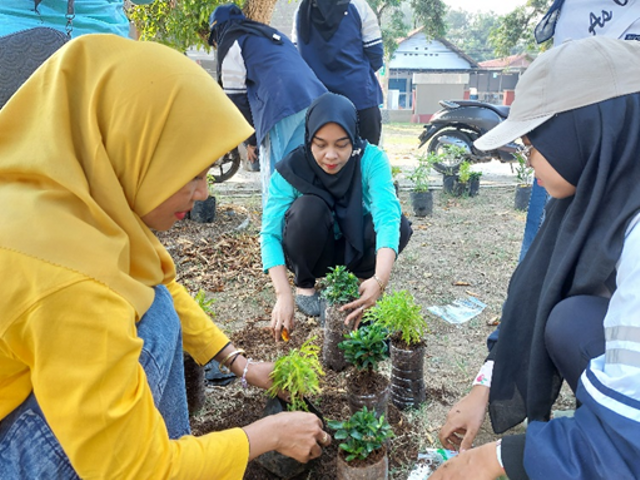 Penanaman Bibit Bersama Ibu - ibu PKK yang dilaksanakan oleh Mahasiswa TIM II KKN Universitas Diponegoro  Dengan Memanfaatkan Limbah Anorganik di Desa Jatirejo, Kecamatan Ampelgading, Kabupaten Pemalang (Sumber : Pribadi)