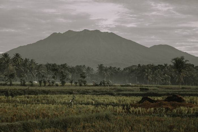 Wisata dekat Stasiun Ketapang Banyuwangi (Foto hanya ilustrasi, bukan tempat sebenarnya) Sumber: unsplash/ dulz muhammad