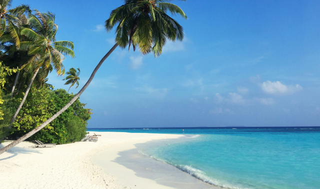 Pulau Mengkudu, foto hanya ilustrasi bukan tempat sebenarnya. Sumber: Unsplash/Dorsa Masghati