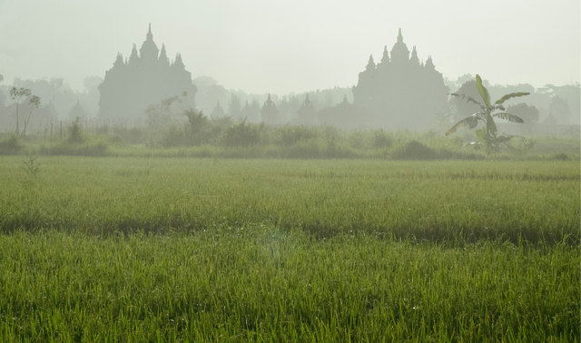 Taman Purbakala Pugungraharjo, foto hanya ilustrasi bukan gambar sebenarnya. Sumber: Unsplash/Elang Wardhana