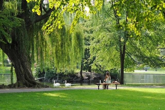 Taman di PIK. Foto hanya ilustrasi, bukan tempat sebenarnya. Sumber:Unsplash/Josephine Baran