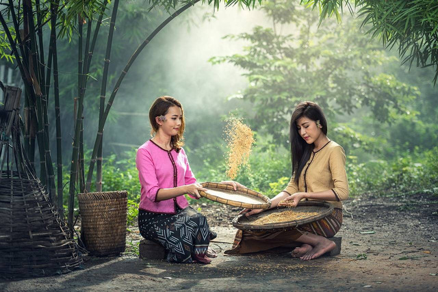 Ilustrasi teks argumentasi tentang beras jagung. Sumber: Pixabay