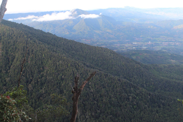 Lanskap hutan Bandung Selatan. Sumber: Koleksi penulis, diambil pada 31 Desember 2017.