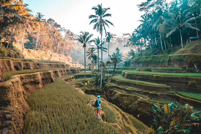 Tips Berlibur Ala Backpacker. Foto hanya ilustrasi. Sumber Unsplash Jamie Fenn