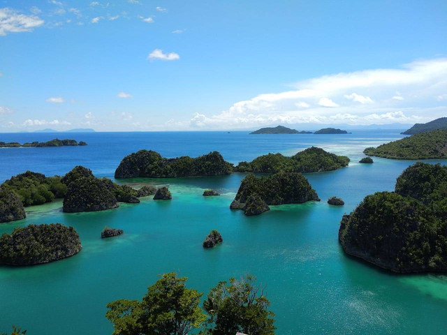 Ilustrasi teks deskripsi tentang Raja Ampat. Sumber: pexels.com