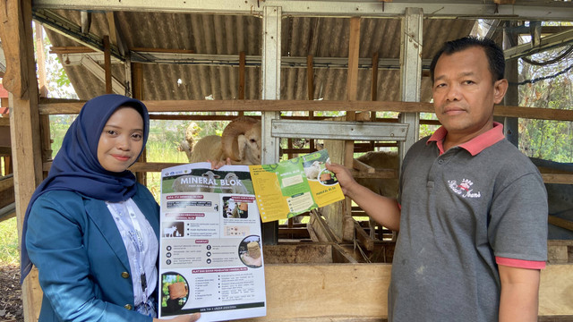 Mahasiswa KKN TIM II UNDIP Desa Banyuripan Kenalkan Mineral Blok Untuk Ternak