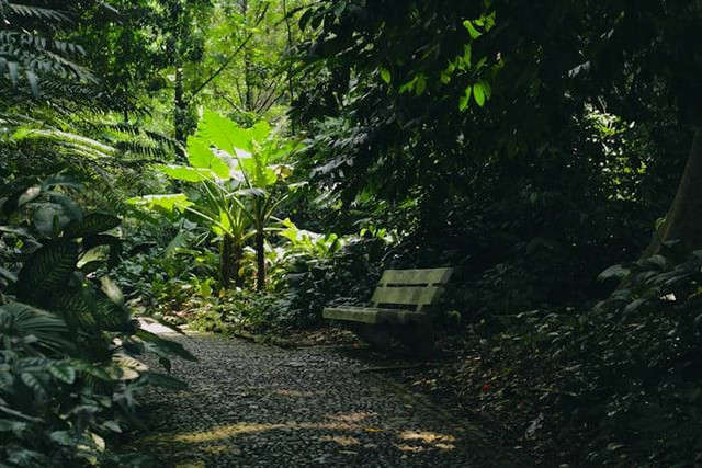 Harga Sewa Sepeda di Kebun Raya Bogor (Foto Kebun Raya Bogor) Sumber: unsplash/ Hardingferrent