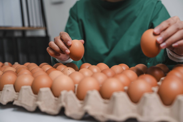 Ilustrasi menyimpan telur dalam posisi yang benar. Foto: Shutterstock