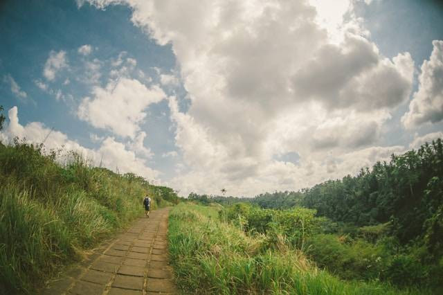 Tempat wisata di Ubud terbaru. Sumber: Unsplash/Minh Trần