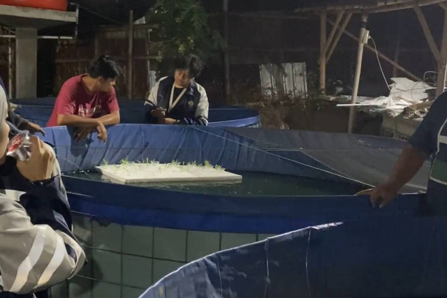 Pengenalan dan penyuluhan mengenai budidaya tanaman sayur dengan sistem aquaponik oleh Waskito Adi Pamungkas Mahasiswa Agroekoteknologi Undip