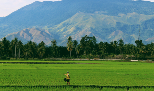 Tempat Wisata di Woloan Tomohon, foto hanya ilustrasi bukan tempat sebenarnya. Sumber: Unsplash/Sandy Zebua