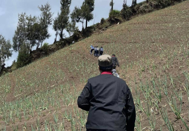 Kegiatan kunjungan kebun oleh para mahasiswa UMM (Sabtu, 27/07/2024)