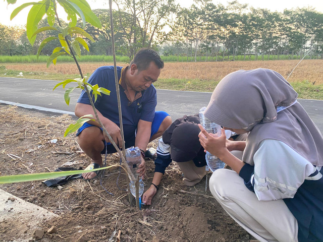 Pengaplikasian drip irrigation pada tanaman