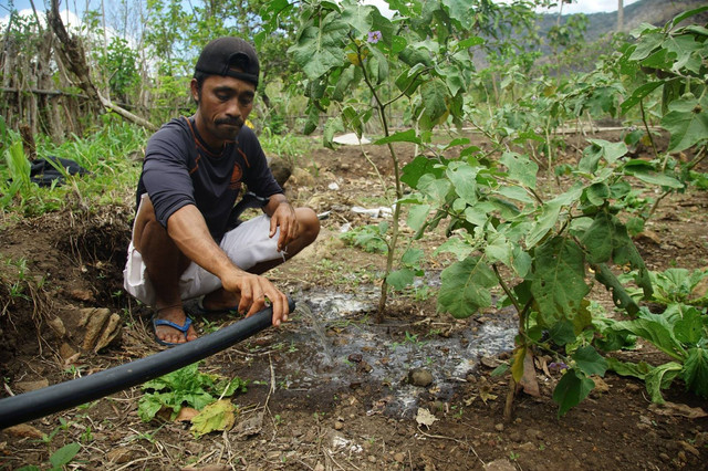 Warga Dusun Compang, Desa Golo Mori, Kecamatan Komodo, Kabupaten Manggarai Barat, Nusa Tenggara Timur. memanfaatkan PLTS untuk pompa air pertanian. Foto: PIS 