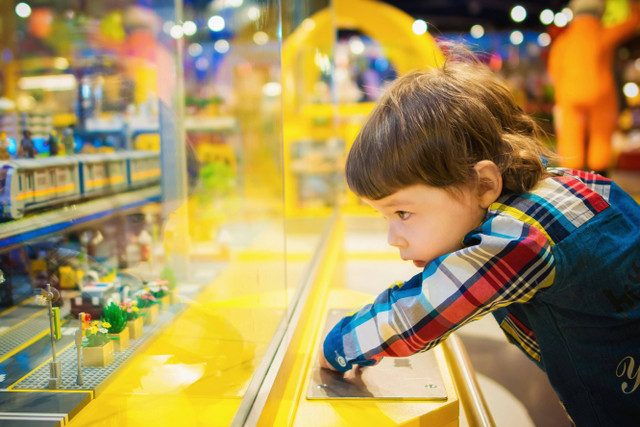 PAWsome Adventure Senayan Park. Foto hanya sebagai ilustrasi saja, bukan tempat sebenarnya. Sumber: Pexels/Vika Glitter.