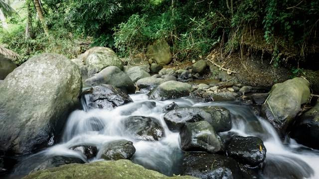 Wisata Alam Cireong Park. Foto hanya ilustrasi bukan lokasi sebenarnya. Sumber: Yayan Mulyana / Unsplash