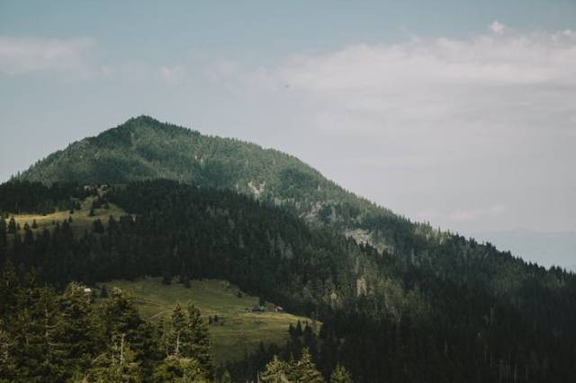 Ilustrasi gunung yang ada di papua, sumber foto: going to the river by pexels.com