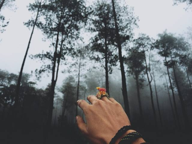 Wisata pegunungan Semarang. Foto hanyalah ilustrasi, bukan tempat yang sebenarnya. Sumber: Unsplash/Yohanes Dicky Yuniar