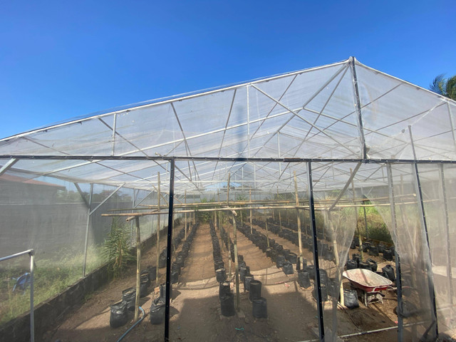 Tampak depan greenhouse Balai Desa Bono.