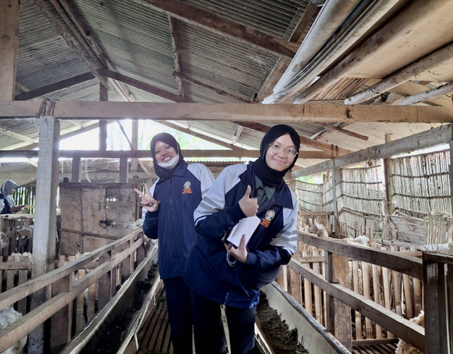 *Dokumentasi pendataan ternak domba Dusun Bendo, Desa Muneng, Kecamatan Pakis, Kabupaten Magelang.