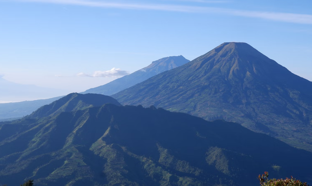 carica khas dieng. Foto hanyalah ilustrasi, bukan tmakanan yang sebenarnya. Sumber: Unsplash/Ardi Fitri