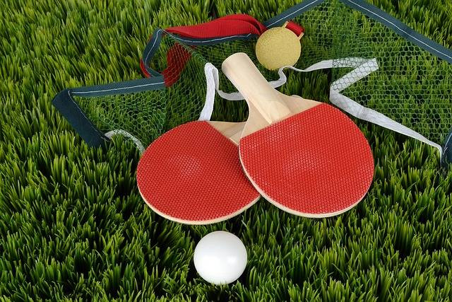 ilustrasi perlengkapan tenis meja. Sumber foto pixabay.com