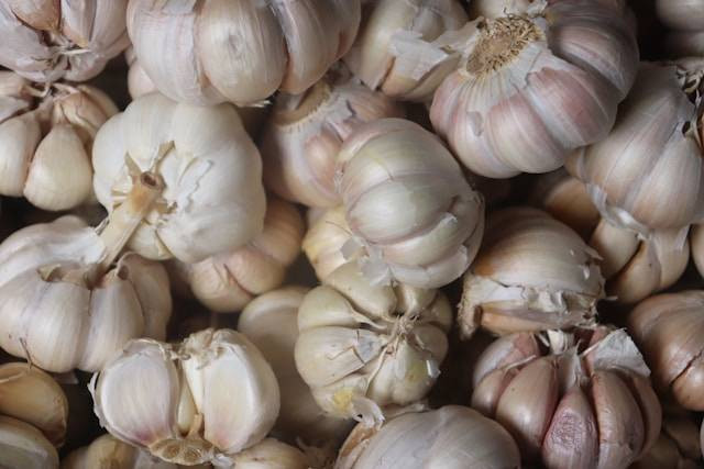 Ilustrasi cara berkebun bawang putih. Foto: Mufid Majnun/Unsplash