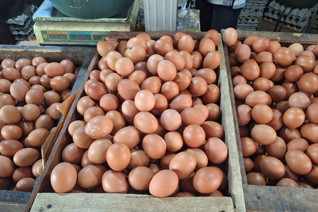 Pedagang telur di Pasar Minggu, Jakarta Selatan. Foto: Argy Pradypta/kumparan