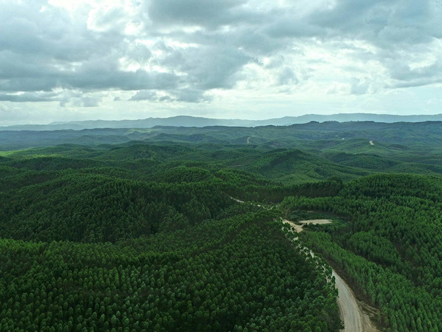 [Taman Nasional Sembilang] Foto hanya ilustrasi, bukan tempat sebenarnya, unsplash/Barkah Wibowo