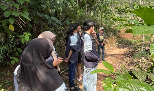 Mahasiswa KKN Undip melakukan survei lahan kopi pada salah satu hamparan di Desa Banjarsari (Foto: Dok. Ulima Atma Haamidah)