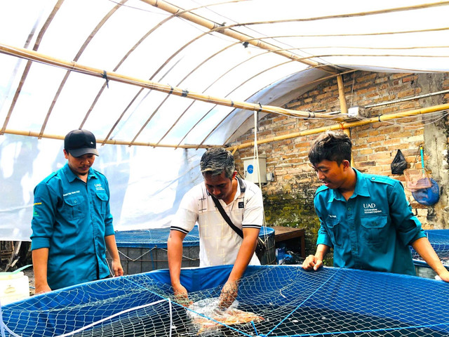 Tim PPK Ormawa HMTP Universitas Ahmad Dahlan (UAD) Kenalkan Budi Daya Nila Salin dengan Sistem Bioflok di Wonoroto (Dok. Istimewa)