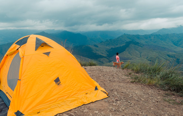 bukit cirimpak camping ground. Foto hanyalah ilustrasi, bukan tempat yang sebenarnya. Sumber: Pexels/Robert Forever Ago