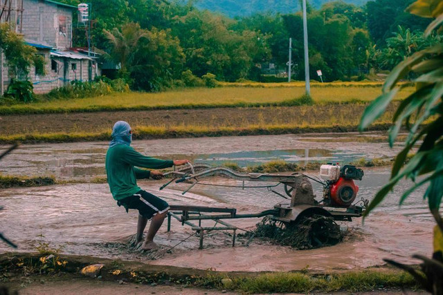 Mesin pertanian kompak (https://www.pexels.com/id-id/foto/pertanian-agrikultura-tanah-pertanian-tanah-peternakan-13017270/)