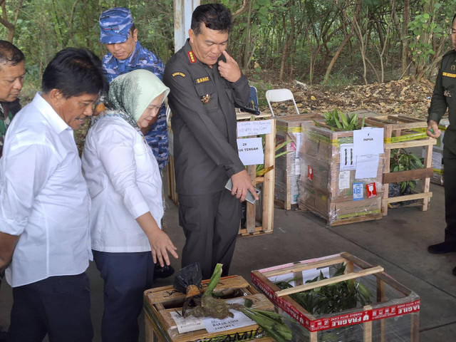 Kepala Barantin, Zahat Manaor Pangabean dalam Pelepasan tanaman herbal untuk mendukung TSTH2 di Lanud Halim Perdanakusuma, Jakarta pada Minggu (25/8/2024). Foto: Argya D. Maheswara/kumpara/kumparan