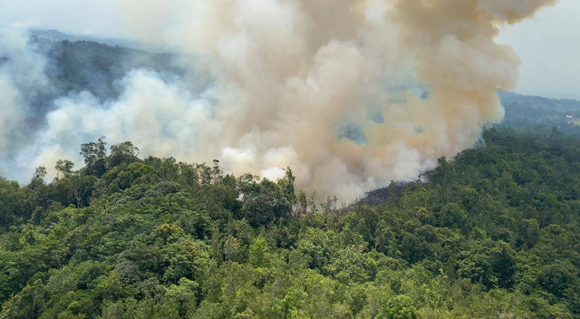 Hotspot masih ada di daerah Kabupaten Bengkayang. BPBD Kalbar tegas mengatakan tidak akan melakukan water bombing di area yang sengaja dibakar warga dan perusahaan. Foto: Yulia Ramadhiyanti/Hi!Pontianak