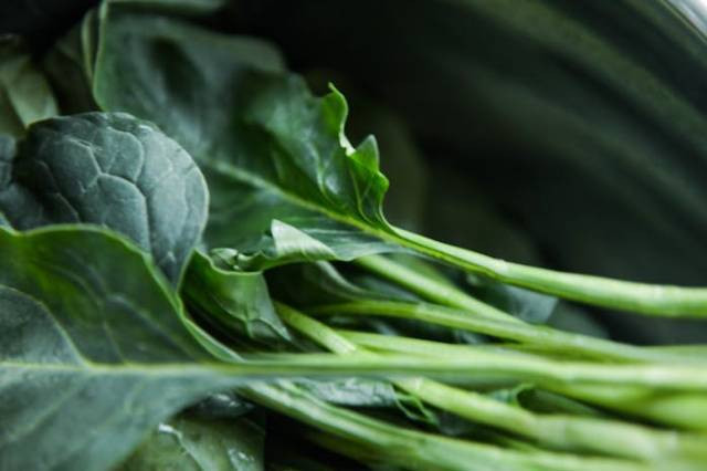 Ilustrasi nutrisi sawi hijau. Foto: pexels.com.