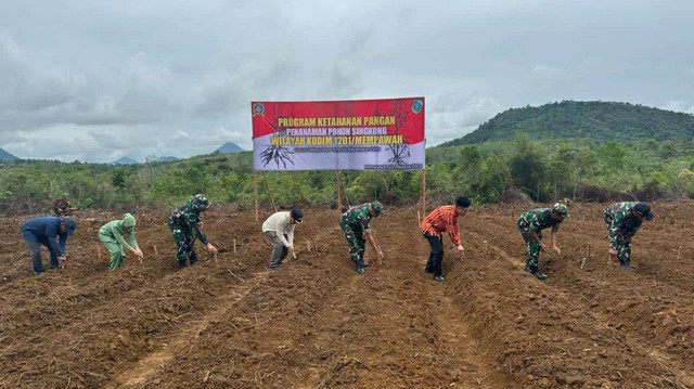 Program ketahanan pangan Kodim Mempawah. Foto: Dok. Pendim Mempawah