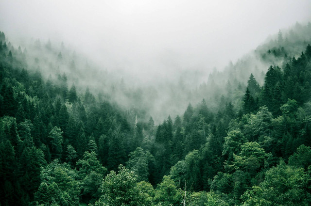 Tempat Wisata di dekat Gunung Kelud. Foto Hanya Ilustrasi, Bukan Tempat Sebenarnya. Sumber Unsplash Marita Kavelashvili