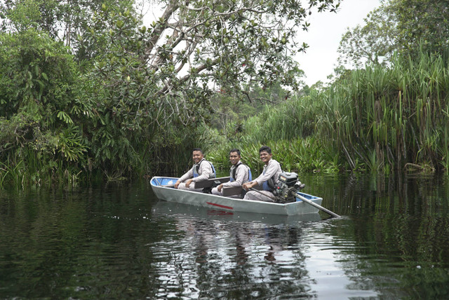 Para jagawana Restorasi Ekosistem Riau (RER) menaiki ketinting saat berpatroli di Sungai Serkap, Jumat (31/05/2024). Foto: Faiz Zulfikar/kumparan