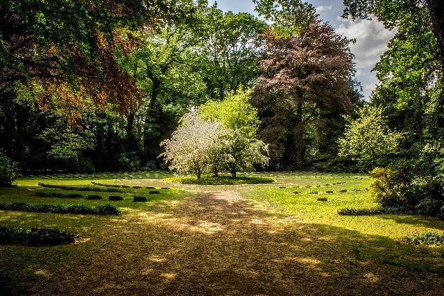 Tempat Wisata di Sukajadi Bandung, foto hanya ilustrasi, bukan gambar sebenarnya, Sumber foto: Pexels/Lalesh Al Darwish