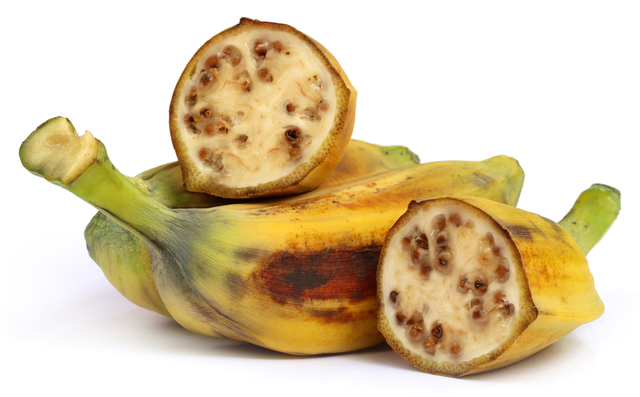 Ilustrasi Pisang Batu atau Pisang klutuk (Musa balbisiana) (sumber: shutterstock.com)