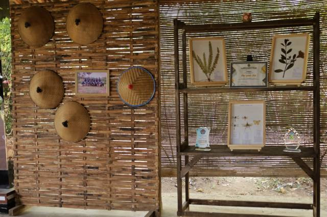 Insektarium dan Herbarium yang dipajang pada Papan Pasinaon - Sekukusan Desa Wisata Lerep (Dok.Zayn Delisha)