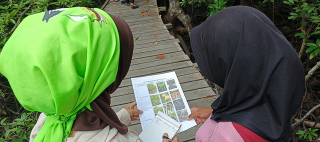 Saat teman-teman REBONK melakukan kegiatan fieldtrip sekaligus belajar langsung di alam,tepatnya di Wisata Hutan Mangrove Sukadana, Kabupaten Kayong Utara, pada Sabtu sore (24/8/2024). (Foto dok: Adittia Saputra/Yayasan Palung).