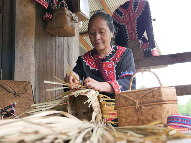 Ilustrasi Cara Memilih Bambu yang Baik untuk Digunakan sebagai Bahan Kerajinan. Sumber: pexels/Thanradee Maturos