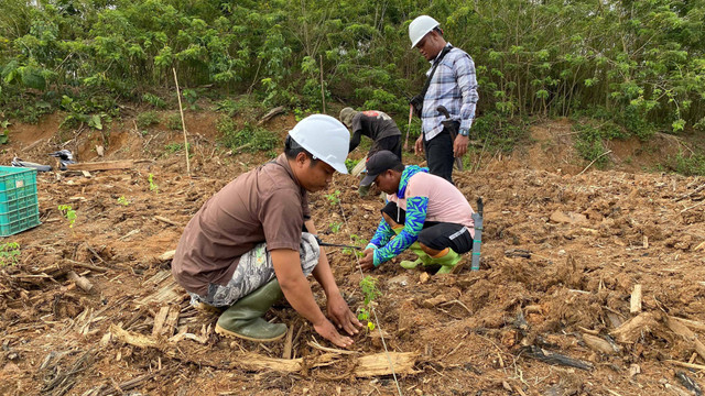 (BPHL) Wilayah XII Palu memberikan apresiasi kepada PT Banyan Tumbuh Lestari berkat kontribusinya sebagai penyumbang terbesar PNBP Pemanfaatan Hutan di Provinsi Gorontalo. Jumat (30-8). Foto: dok istimewa.